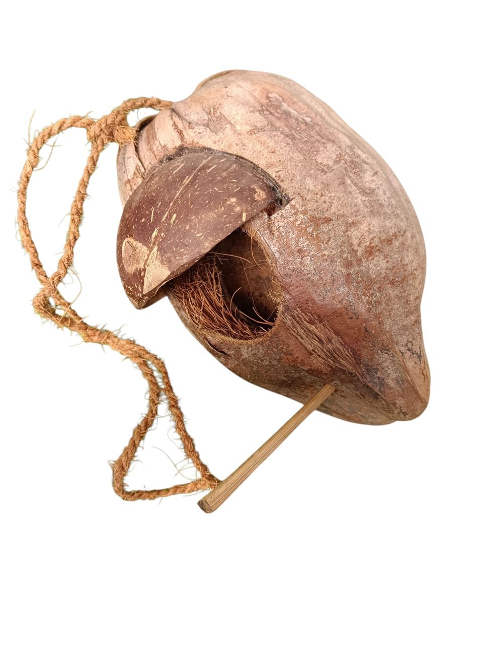 Birds Nest - Image 2