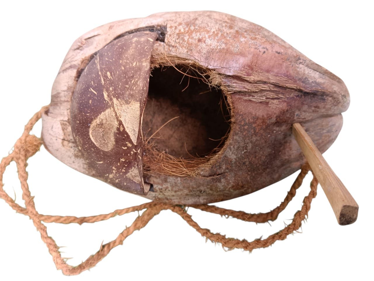 Birds Nest - Image 3